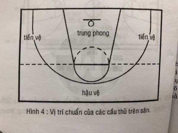 kiến thức chơi bóng rổ