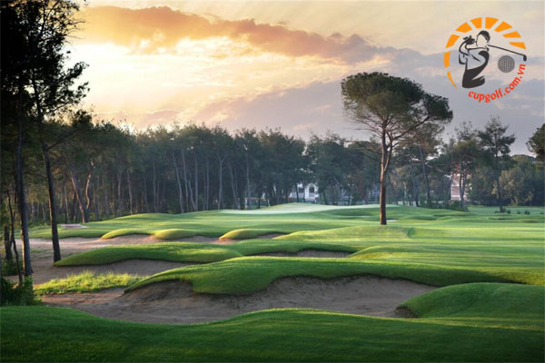 san golf Montgomerie