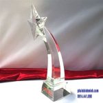 Cúp vinh danh 07